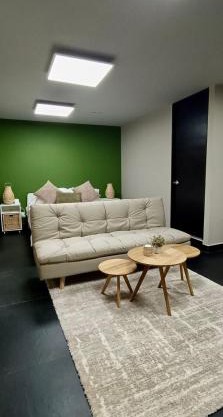 Coliving Condesa Master Suite 1 Cedro