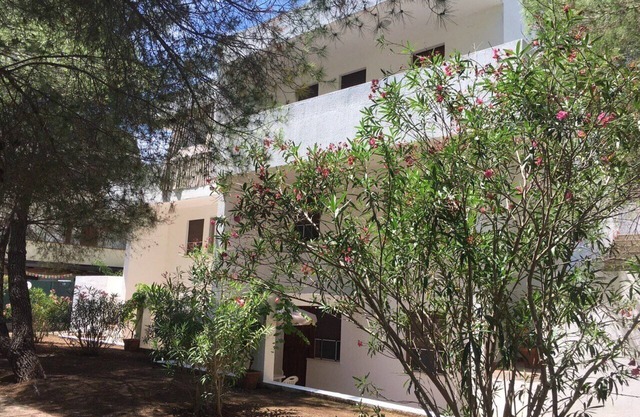 Collins Apartments