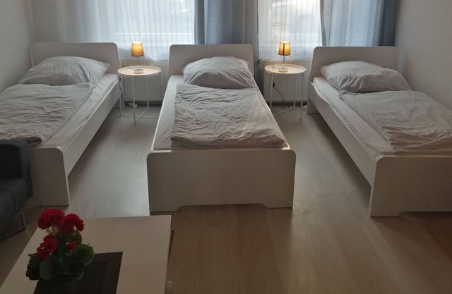 Cologne apartment 2B