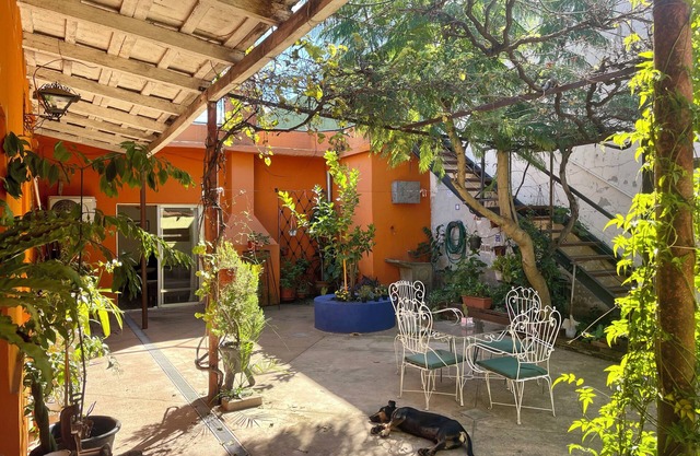 Colonial house with dreamlike patio and ocean viewpoint