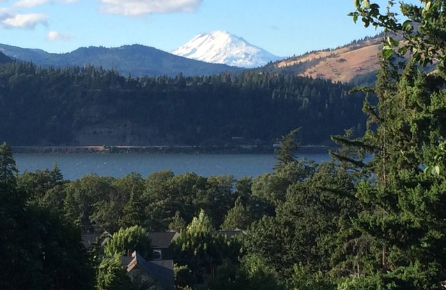 Columbia Tree House - Downtown Hood River with Big View and Fenced Yard