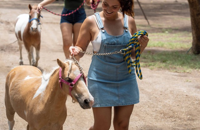 Come and enjoy, connect with yourself in the company of nature, come and live!