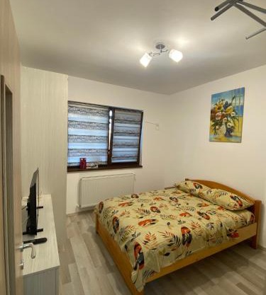 Comfort Class Apartment