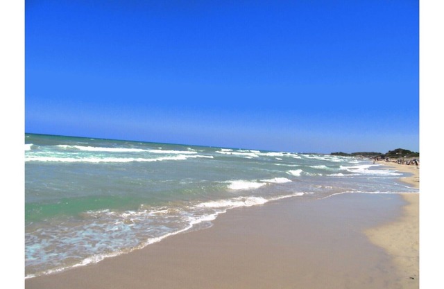 Comfortable three-room apartment for 4/5/6 places. Masseria 8 km from the sea and Ostuni