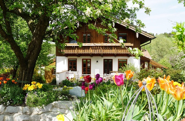 Comfortable apartment in the outskirts