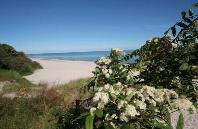 Comfortable apartment for 2-4 people in Putgarten on Ruegen Kap Arkona