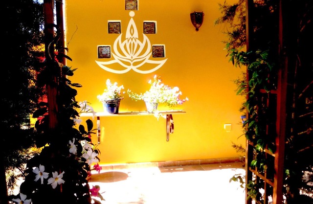 Comfortable apartment and swimming pool in the shade of the pine forest of Chipiona