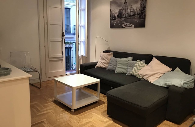 Comfortable apartment in Cortes/Barrio Letras Madrid