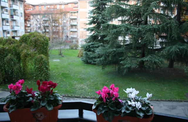Comfortable apartment MM1 Uruguay