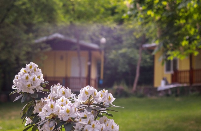 Comfortable Bungalow for two in the Heart of the Forest