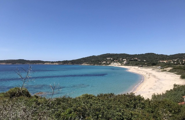 Comfortable ground floor villas