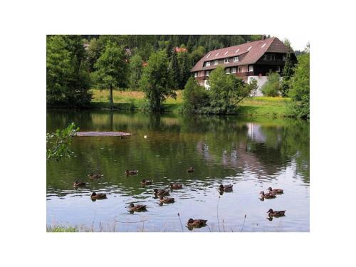 Comfortable holiday residence on the lake
