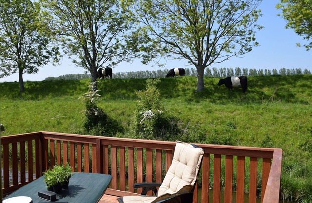Comfortable holiday home in Schoondijke