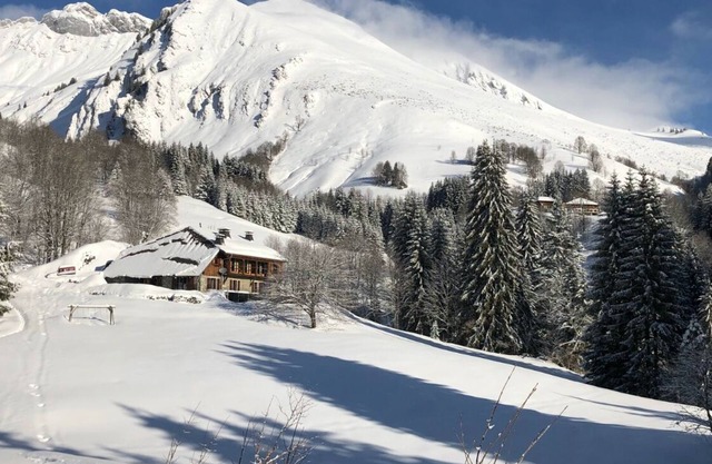 Comfortable off grid mountain lodge with SPA.