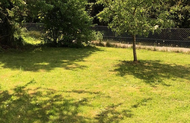 Comfortable rooms in Laupheim, close to the center