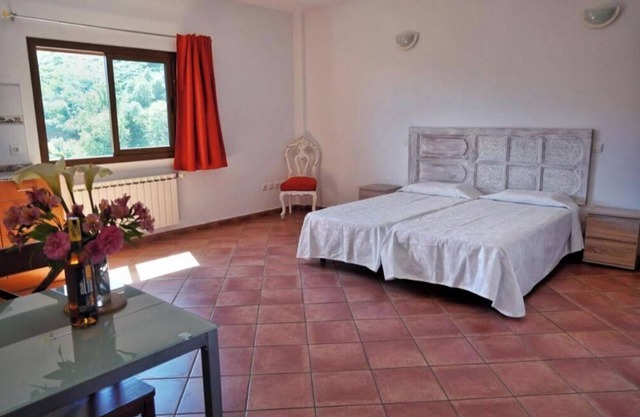 Comfortable studio with mountain view
