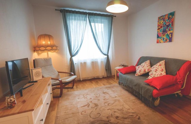 Comfy Apartment