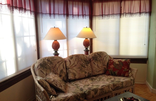 Comfy Queen large 1/1, Near Stetson, Sky Diving, St Johns River, racing, beach