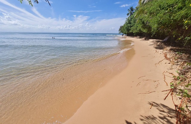 Complete Studio 150m from the Beach