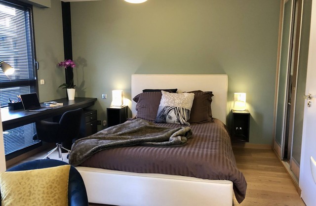 Contemporary deluxe apartment in the heart of AIX EN PROVENCE view Ste Victoire