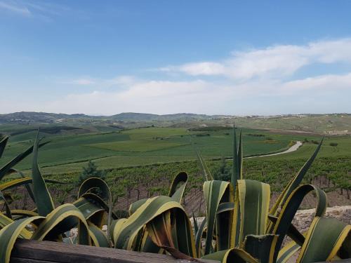 Contrada Gibbesi