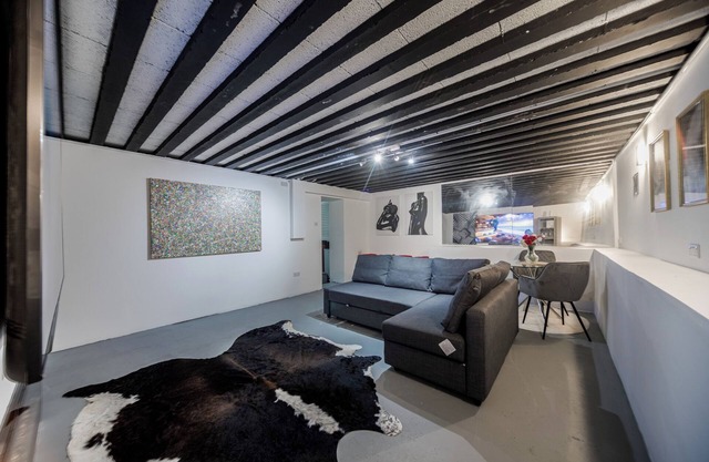 Converted Cinema/Art Room to Studio Apartment nn