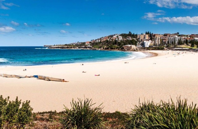Coogee Beach Comfort