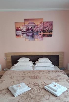 Cool Apartment Radauti