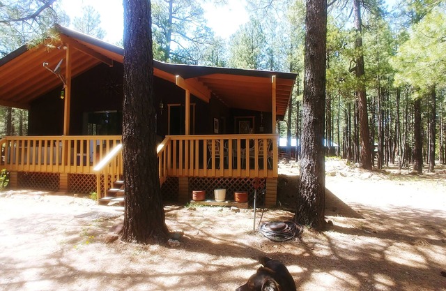 Cool Pines nFamily cabin 2 hrs from the valley