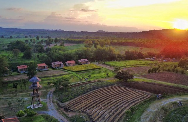 COOLLiving Farmhouse Organic