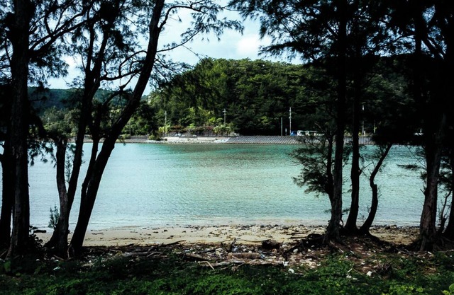 CORAL ISLAND
