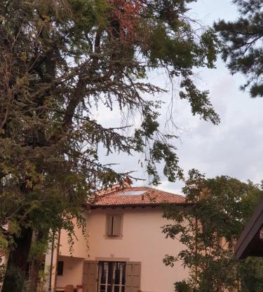 Coralupi B & B