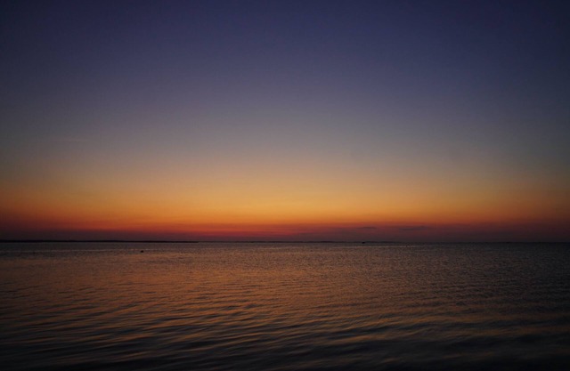 Corolla 4X4 Beach, Views of the Ocean and Sound, Wild Horses, Pet Friendly