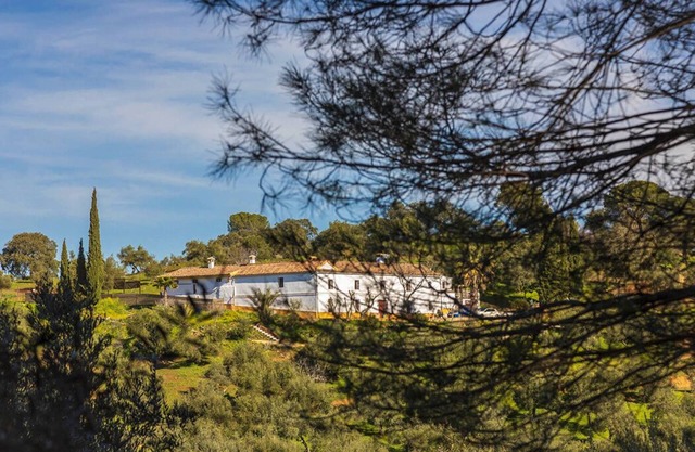 Cortijo Isla Virgen. Un Paraje por Descubrir. Las Mascotas son Bienvenidas