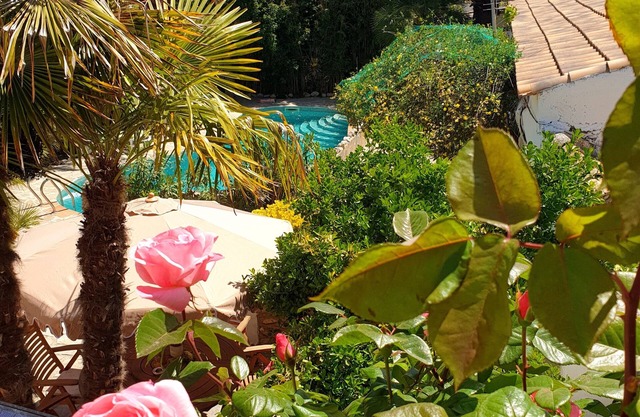Cortijo Paraiso - Perfect Tropical Paradise (Pet Friendly) sleeps 6