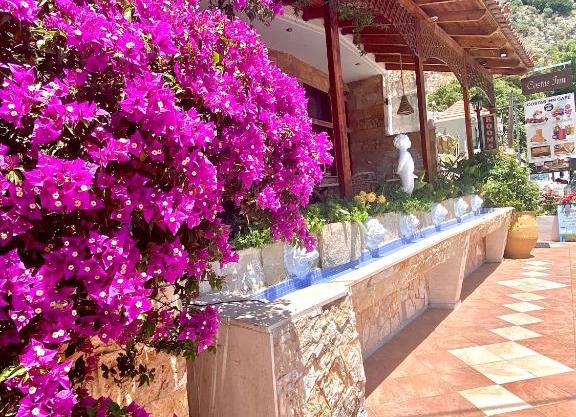 Costas Inn