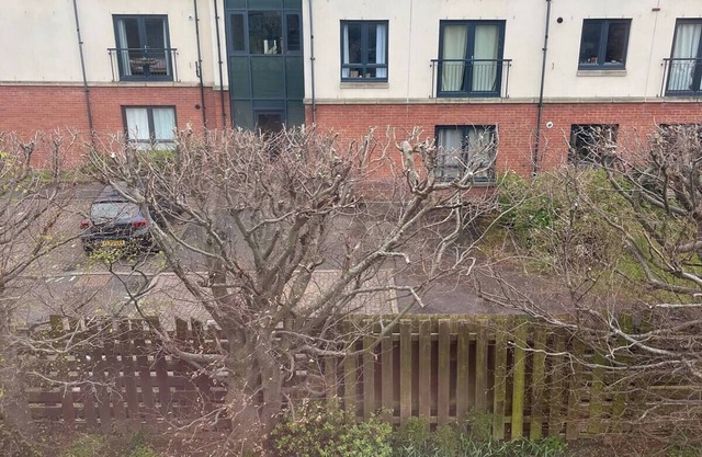 Cosy 1-bedroom apartment in Edinburgh