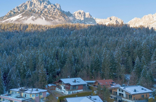 Cosy apartment, 170m to the ski bus