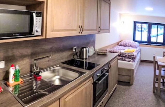 Cosy apartment for 4 guests with TV and parking