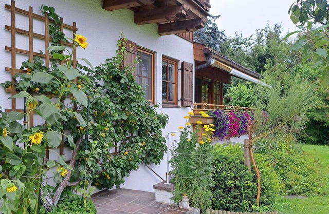 Cosy apartment for 5 people with WIFI, TV, patio, pets allowed and parking