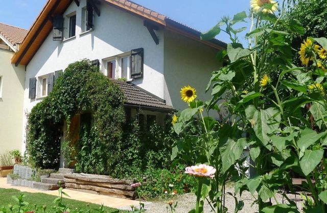 Cosy apartment for 8 guests with WIFI and TV