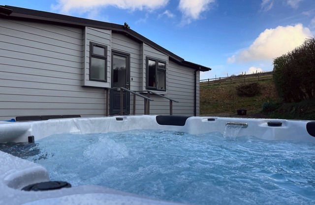 Cosy Clos Y Hendy Lodge