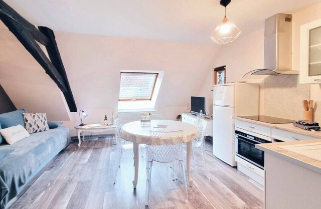 Cosy Duplex Obernai