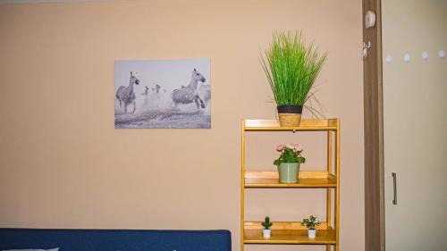 Cosy Flat off City Centre