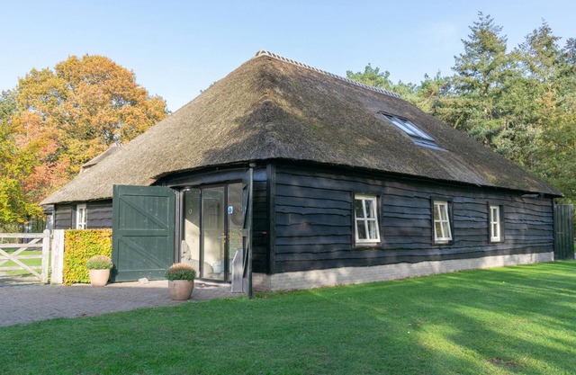 Cosy holiday home at the edge of the forest