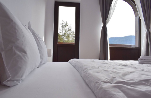 Cosy & Minimalistic 1 BDR Apartment 6 - Haret Villa - near Peles Castle