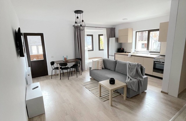 Cosy & Minimalistic 1 BDR Apartment 2 - Haret Building - near Peles Castle
