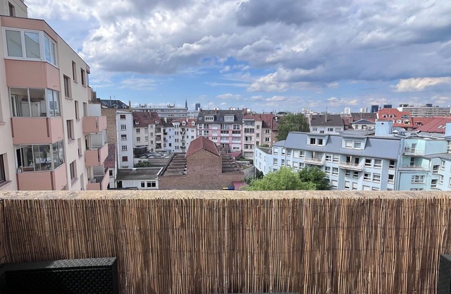 Cosy Rent Strasbourg Wifi Terrasse St Aloise