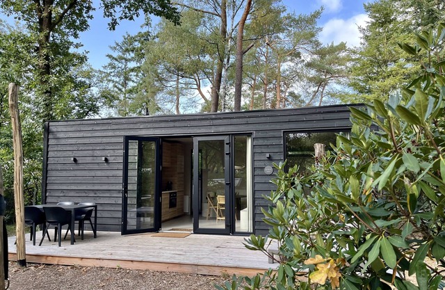 Cosy tiny house in the middle of the Veluwe