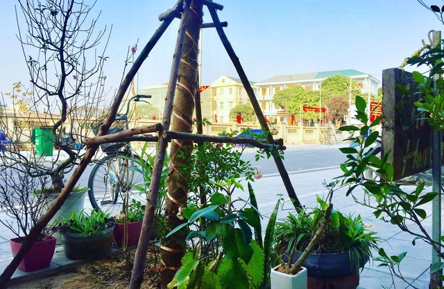 CoTo Family Homestay
